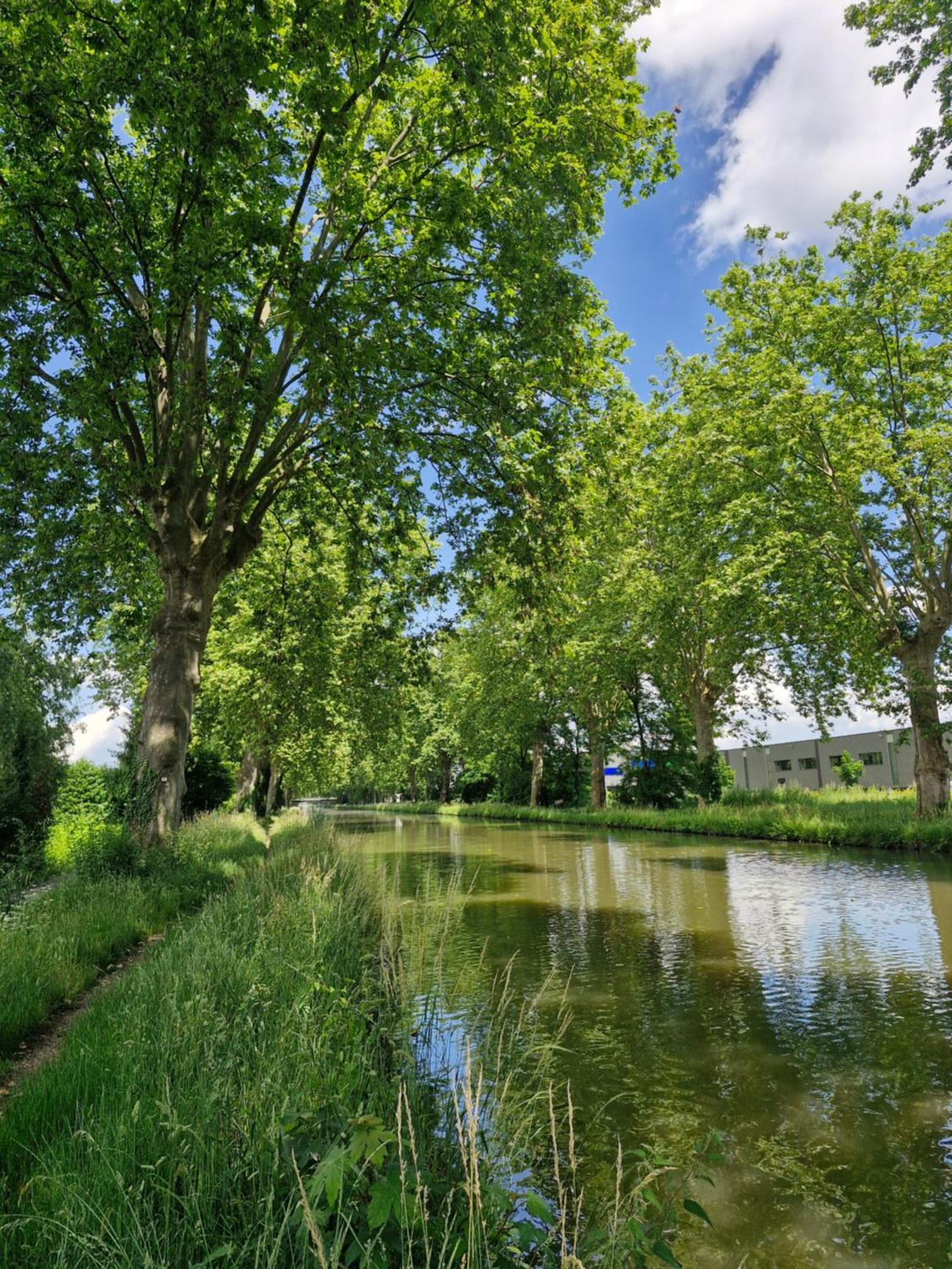 Gite-Appart Com' "Des Cimes Et Jardin" Illkirch-Graffenstaden Exterior foto